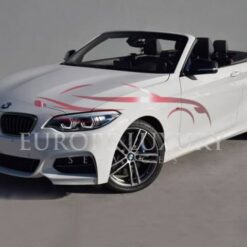 BMW 2 Series Cabrio Rental